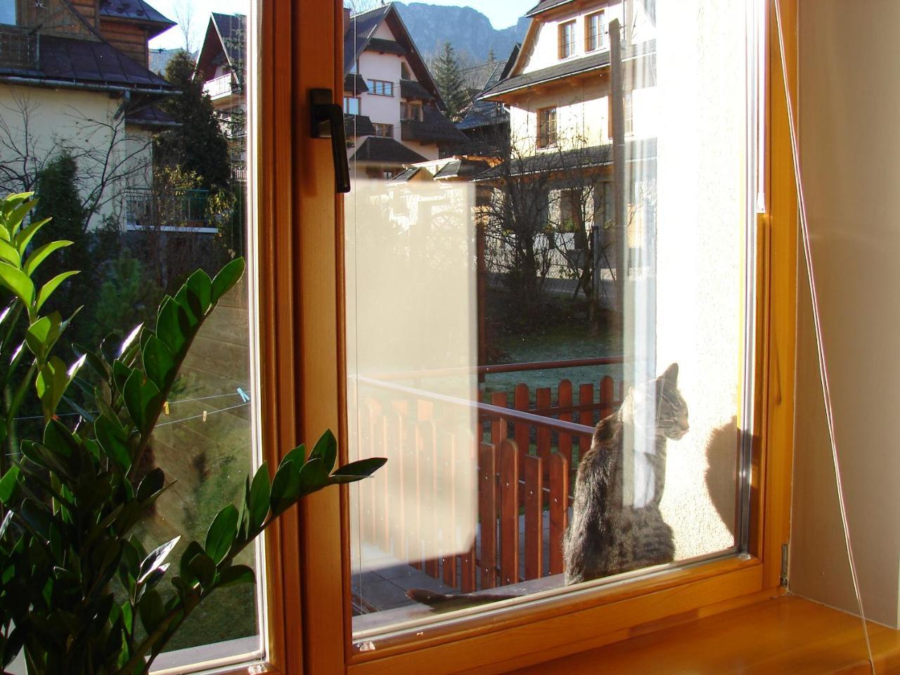 Kalina * Zakopane